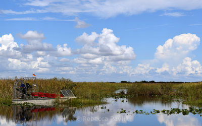 Florida Everglades Travel Tips