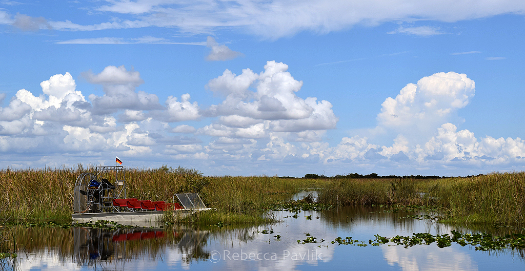 Florida Everglades travel tips ©RebeccaPavlik