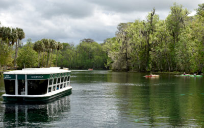 Silver Springs’ Glass Bottom Boats – Florida’s Oldest Tourist Attraction